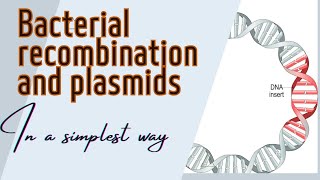 Bacterial recombination and Plasmid [upl. by Tristram852]