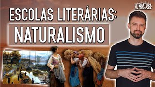 RESUMO SOBRE O NATURALISMO  Contexto histórico e características  Escolas Literárias [upl. by Kalfas]