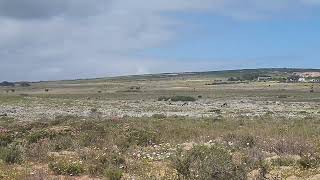 Live your dream in Langebaan Country Estate Langebaan [upl. by Steel]