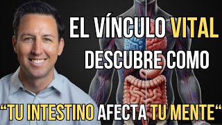 ¡Descubre el Impacto Oculto del Intestino en tu Salud Mental Dr Will Bulsiewicz [upl. by Learrsi]