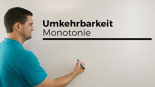 Umkehrbarkeit Monotonie mit Skizze Funktionen und mögliche Umkehrfunktion  Mathe by Daniel Jung [upl. by Hcurob70]