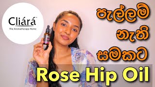 පැහැපත් සමකට Rose hipseed oil  Cliara Essential Oil Rose Hipseed Oil Review In SinhalaFace oils [upl. by Cole]