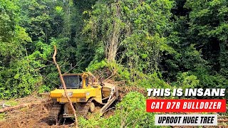 Insane Skill of CAT D7R Dozer Operator Uproot a Lot of Huge Trees Easily [upl. by Ansell247]