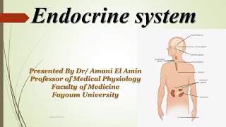 Endocrine control of calcium metabolism part I [upl. by Annuahsal]