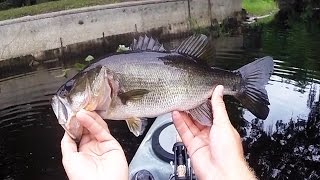 Go Pro Kayak Bass Fishing the Withlacoochee River [upl. by Bille]