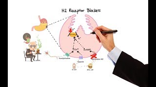 Pharmacology  ANTIHISTAMINES MADE EASY [upl. by Daub]