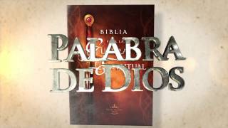 BIBLIA PARA LA GUERRA ESPIRITUAL [upl. by Trinl659]