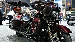 2019 CVO Street Glide HarleyDavidson │ All 3 Colors and Whats New [upl. by Anelagna308]