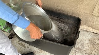 How I Sterilize Soil for Container Gardening [upl. by Retrac]