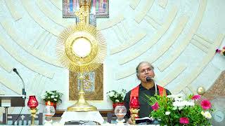 Pentecost Nite VigilTalk by Fr Jerald Lobo 18052024St Annes Friary Mangalore [upl. by Ot828]