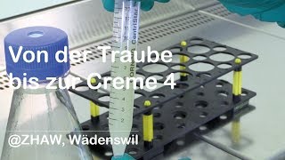 Von der Traube bis zur Creme 4 Wachstum und Produktion im Schüttelkolben [upl. by Hebbe]