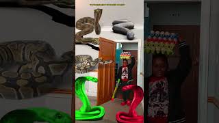 Animal funny video Anaconda snake python in my house in real life bhoot wala usa bhojpuri vfx 13 [upl. by Ayanej965]