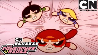 The PowerPuff Girls vs The RowdyRuff Boys [upl. by Angele]