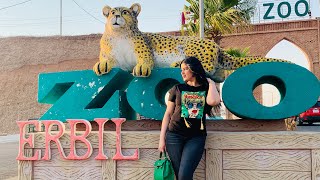 حديقة الحيوانات إربيلErbil Zoo [upl. by Sidra]