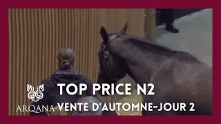 Top Price J2  N°2  100 000E  LASCAR DU MATHAN  H21  Vente Arqana dAutomne 2023 [upl. by Hercules399]