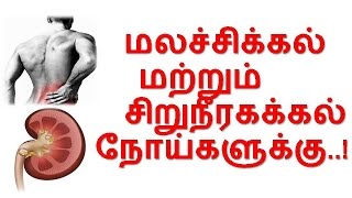 TamilTamil NattuTamil Nattu MaruthuvamTamil Siddha MaruthuvamTamil Natural MedicineSiddha [upl. by Rollet]