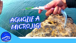 AGUGLIE A MICROJIG pesca a spinning ultralight da riva [upl. by Cherie]