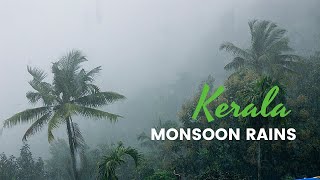 Why Kerala for Monsoon  Best Monsoon video [upl. by Banyaz]