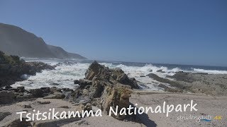 Tsitsikamma Nationalpark [upl. by Mikol333]