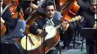 VIOLIN HUAPANGO MARIACHI VARGAS DE TECALITLAN [upl. by Anihcak]