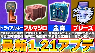 【マイクラ121】最新アプデが嬉しすぎる！？気になる謎が明らかになった衝撃のアプデ情報【まいくら・マインクラフト】 [upl. by Gentry]