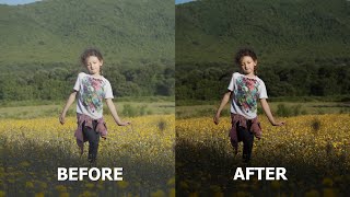 SONY BEST PICTURE PROFILE  HLG3 SETTINGS  CINEMATIC LUTS  Sony A73 A7S3 A6400 A6600 A7R4 A7C ZV1 [upl. by Otxilac]