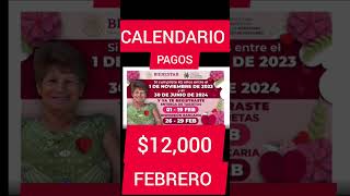 CALENDARIO PAGO FEBRERO 12000 ADULTOS MAYORES noticias viral viralvideo viralshorts [upl. by Levi]