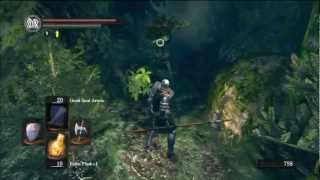 Dark Souls Expert Walkthrough 8  Darkroot Basin and Moonlight Butterfly Defeated [upl. by Wachtel35]