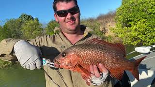 Northern Territory limmen bight river Barra fishing may 2023 [upl. by Blanc]