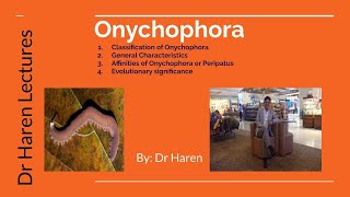 Onychophorans [upl. by Schick]