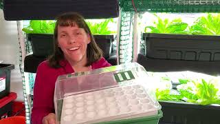 Using Park Seed Bio Dome Seed Starter Kit with Hydroponics [upl. by Chaffee]