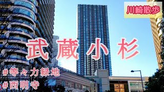 武蔵小杉駅から等々力緑地の周辺を歩きました【川崎散歩】 [upl. by Noired]