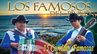 Los Famosos Del Bravo  20 Corridos Famosos  Album Completo [upl. by Bean370]