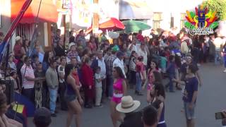 Desfile del Entierro del Mal Humor Carnaval Ameca 2015 [upl. by Inhsor]