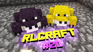 RLCraft I Accidentally Find Gold Book Wyrm And Breeding For Disenchant Table  HINDI  EP20 [upl. by Bueschel]