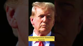 Trumps Conviction and Its Impact on His Future Sentencing Appeals and Presidential Candidacy [upl. by Charlotta]