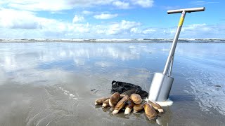 Razor Clam Limits Long Beach WA [upl. by Barraza]