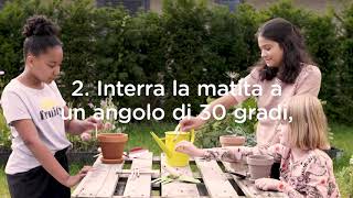 How to plant your Sprout pencil Planting guide  In Italian [upl. by Mountfort]