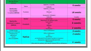 Infective Endocarditis Review and Summary [upl. by Nawor]