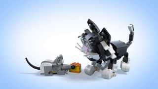 Product Spin  LEGO Creator  31021 [upl. by Marcoux887]