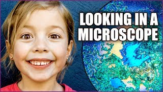 Microscope For Kids  Fun with Science [upl. by Siravat]