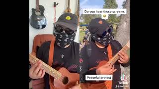 Twelfth Street Rag Protest Ukulele [upl. by Olpe]