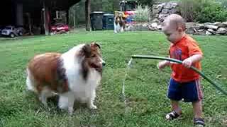 baby and dog play with hose [upl. by Waynant]