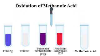 Carboxylic Acids Naming Preparation and reactions [upl. by Charis]