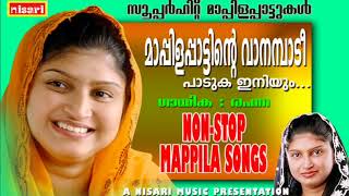 MAPPILAPPATTINTE VANAMBADI PADUKA INIYUM NISARI MAPPILA SONGS [upl. by Cohl]