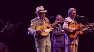 Compay Segundo  Sabroso Live Olympia París 1998 [upl. by Shing]