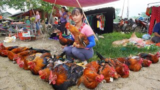 120 Day Harvesting Chicken Rooster Goes to market sell  Harvest Fruit Garden FULL VIDEO [upl. by Rasec]