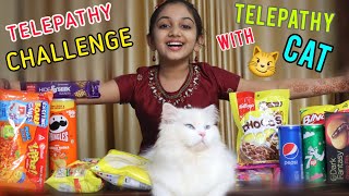 Telepathy Challenge with rocky😼😼  minshasworld [upl. by Warton951]