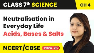 Neutralisation and Neutralisation in Everyday Life  Acids Bases and Salts  Class 7 Science Ch 4 [upl. by Lisandra]