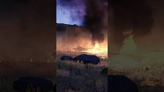 2 minutes ago US Troops Successfully Stopped 150 Russian Tanks E06 shorts arma3 [upl. by Disharoon]